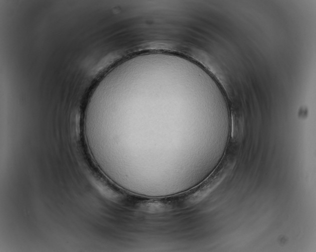 X0000100850253200807070940