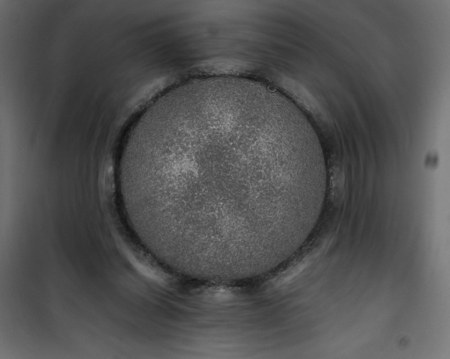 X0000100850254200807070940