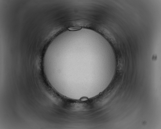 X0000100850255200807070940