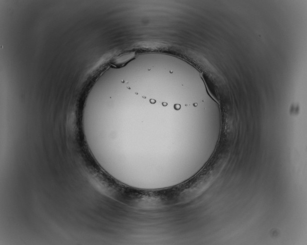 X0000100850256200807070940