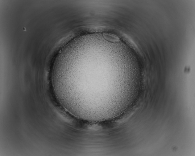 X0000100850258200807070940