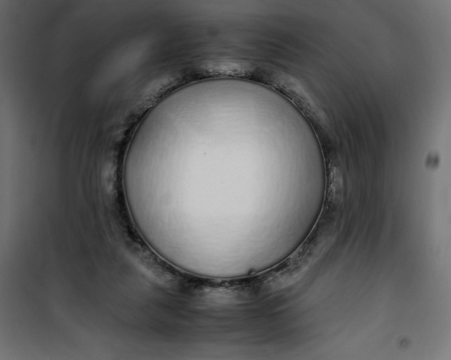 X0000100850259200807070940