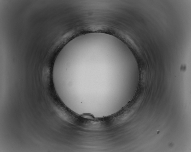 X0000100850260200807070940