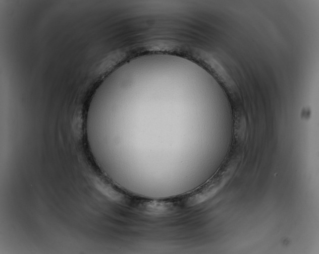 X0000100850261200807070940