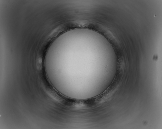 X0000100850262200807070940