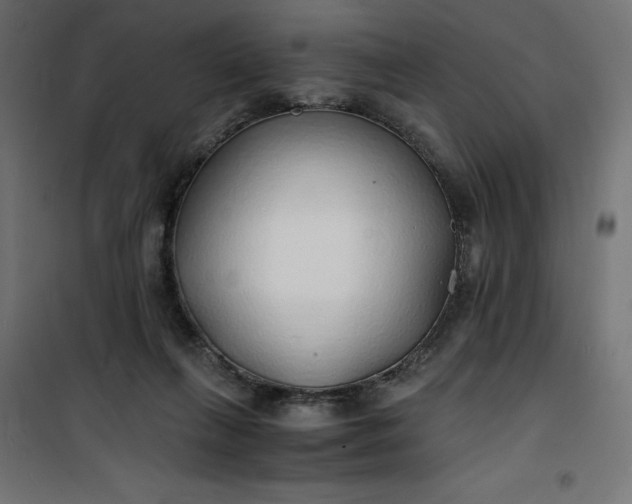 X0000100850263200807070940