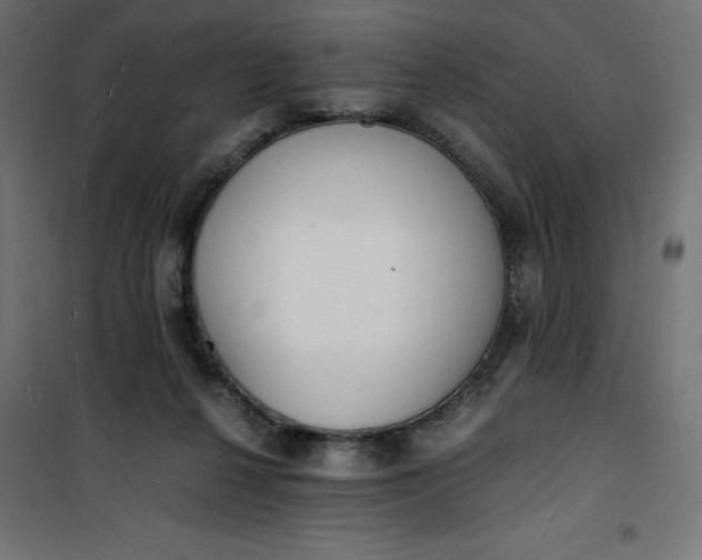 X0000100850264200807070940