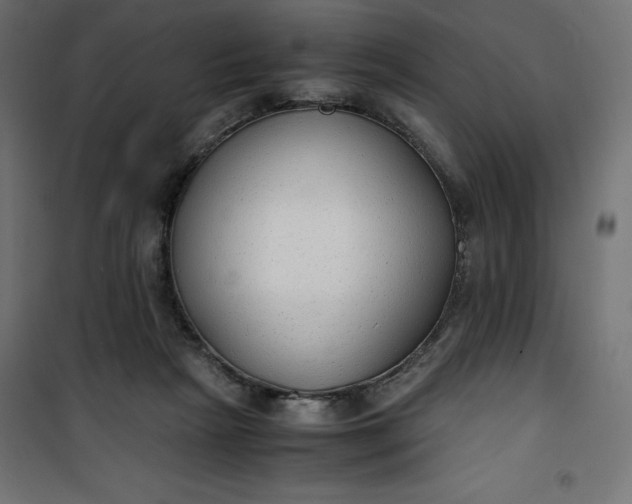 X0000100850265200807070940