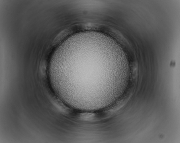 X0000100850266200807070940