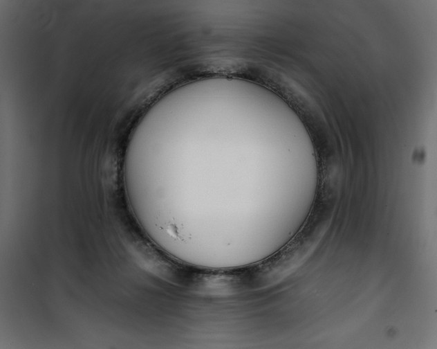 X0000100850268200807070940