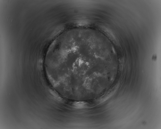 X0000100850269200807070940