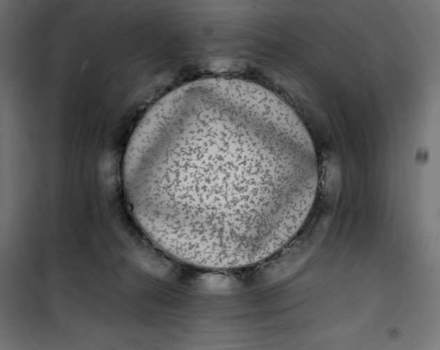 X0000100850272200807070940