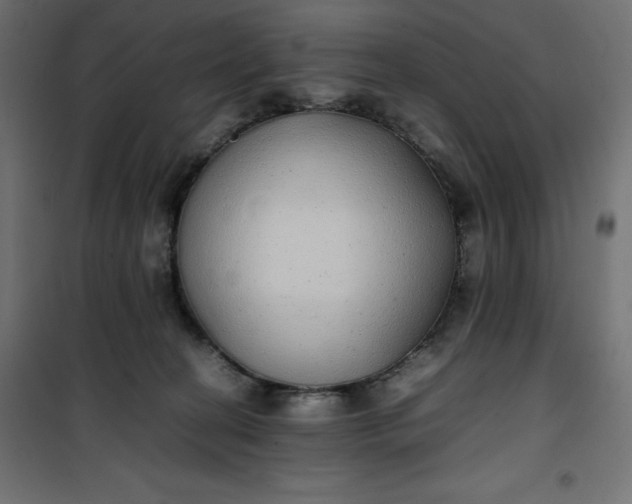 X0000100850274200807070940