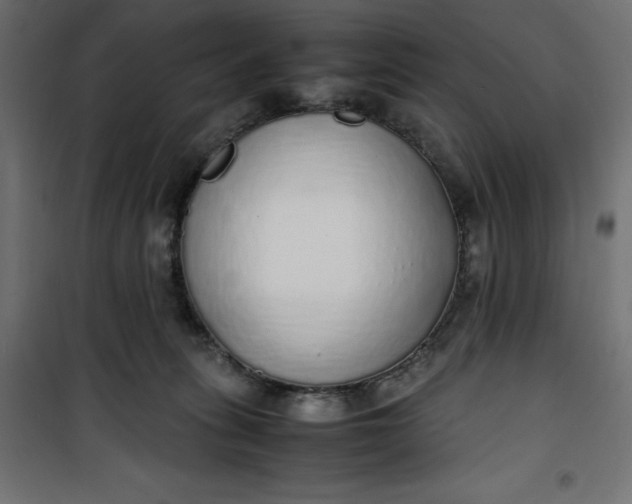 X0000100850275200807070940