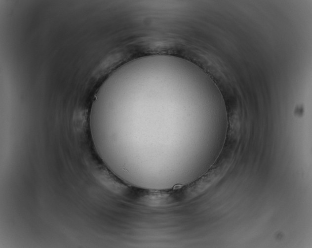 X0000100850278200807070940