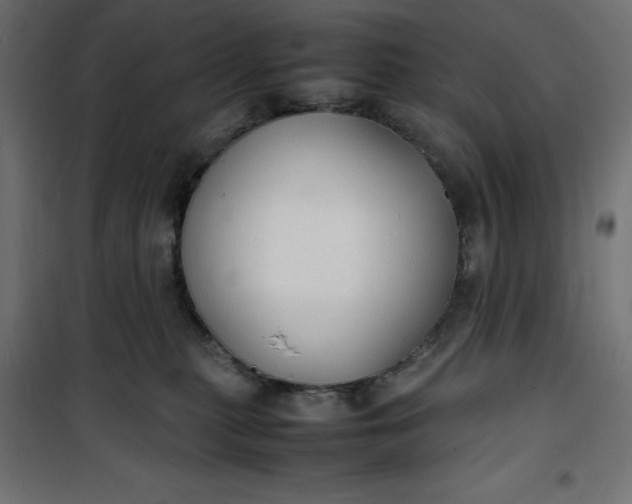 X0000100850279200807070940