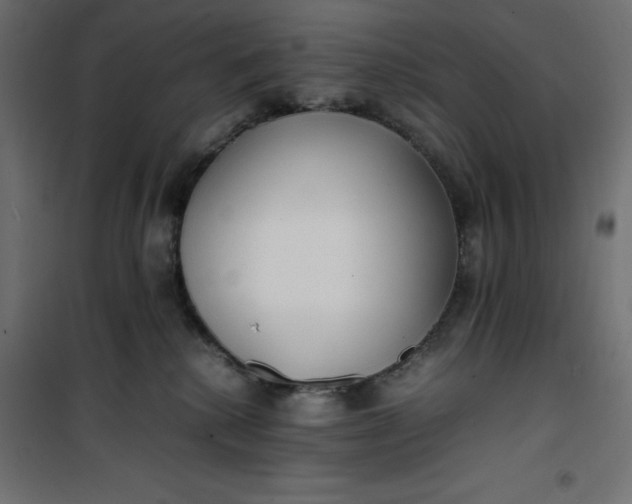 X0000100850280200807070940