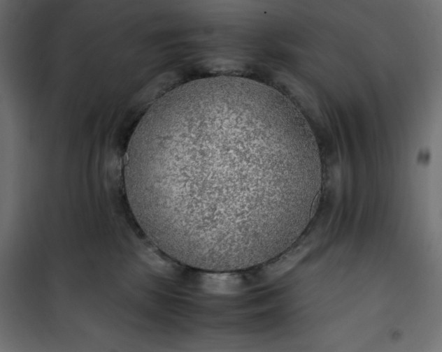 X0000100850281200807070940