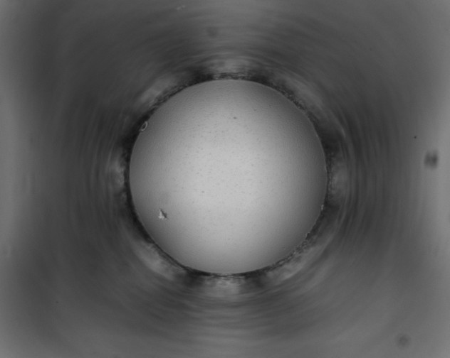 X0000100850282200807070941