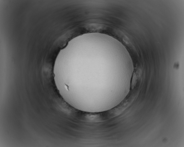 X0000100850283200807070941