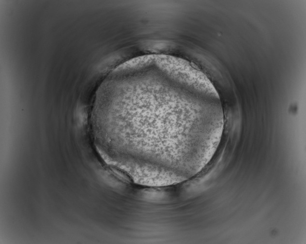 X0000100850284200807070941