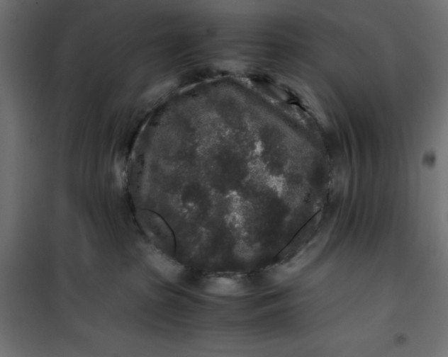 X0000100850285200807070941