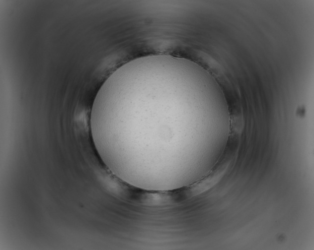 X0000100850286200807070941