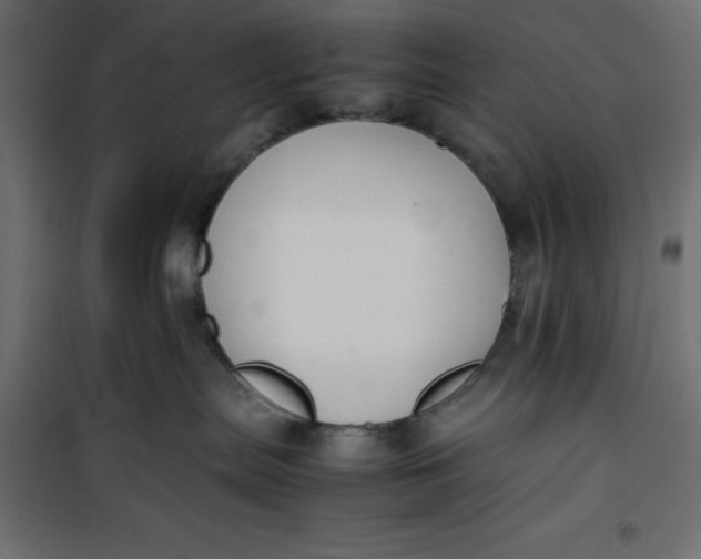 X0000100850287200807070941