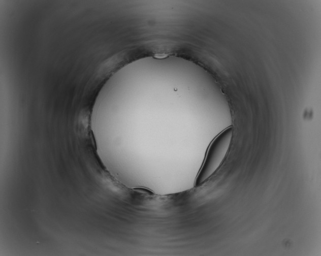 X0000100850288200807070941