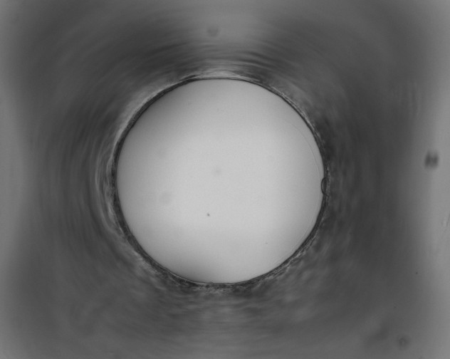 X0000100850289200807070940