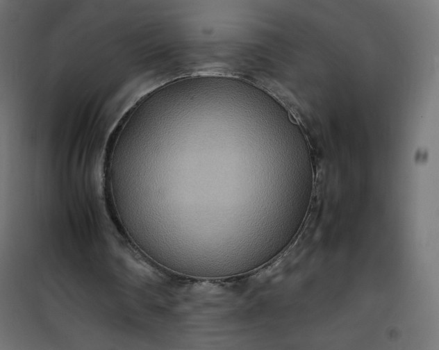 X0000100850290200807070940