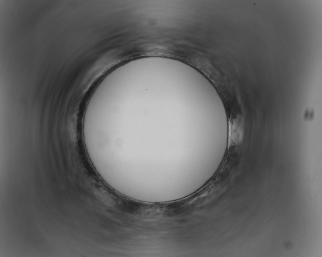 X0000100850291200807070940