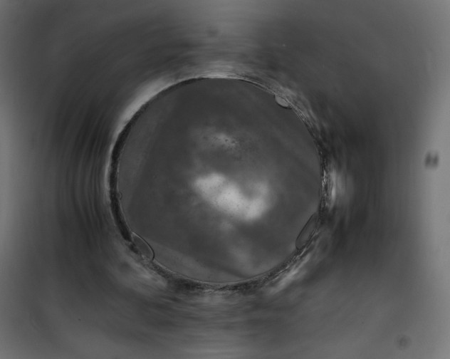 X0000100850292200807070940