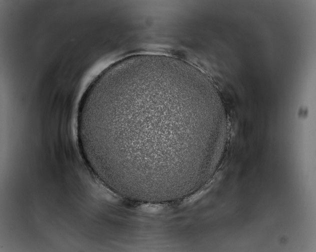 X0000100850294200807070940