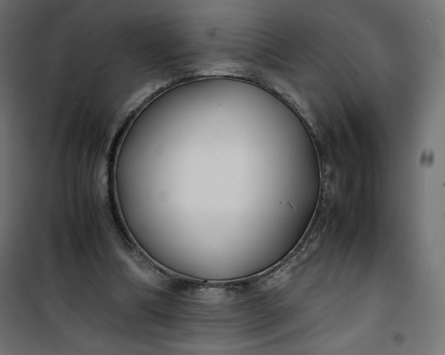 X0000100850298200807070940