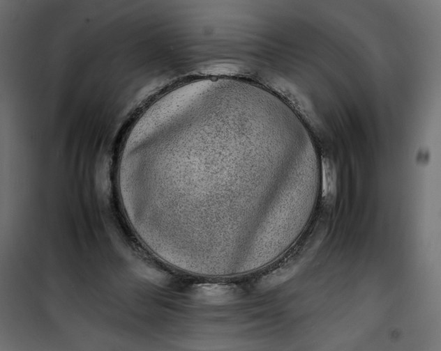 X0000100850300200807070940