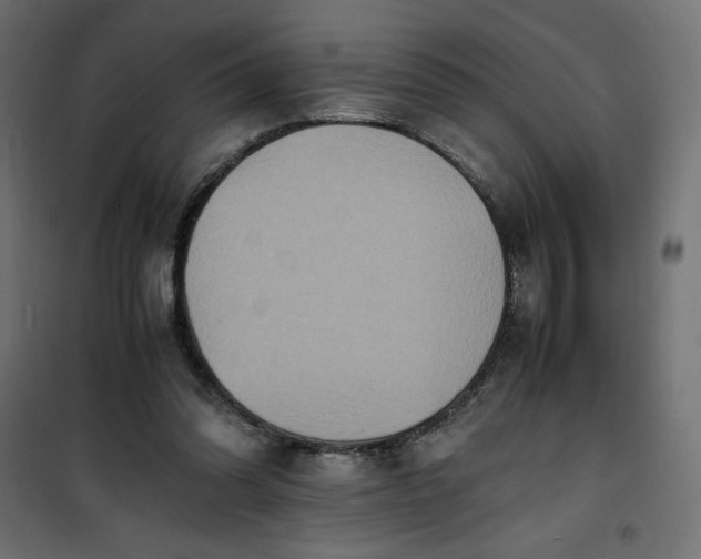 X0000100850302200807070940