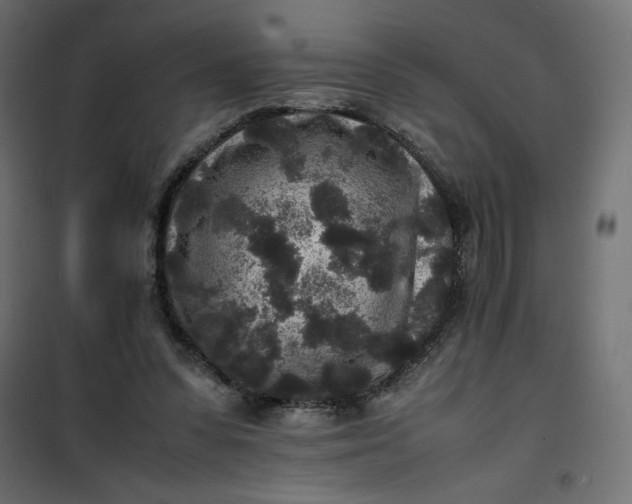 X0000100850303200807070940