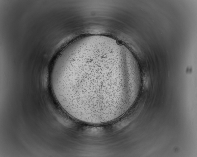 X0000100850304200807070940