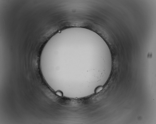 X0000100850305200807070939