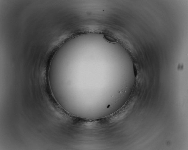 X0000100850306200807070939