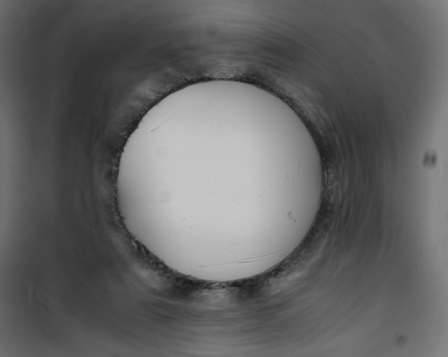 X0000100850307200807070939