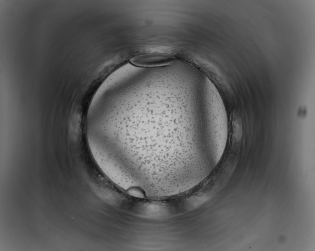 X0000100850308200807070939