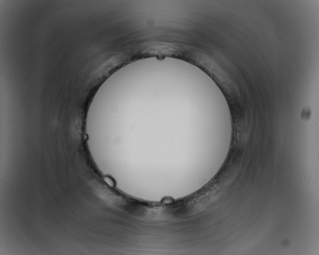 X0000100850309200807070939