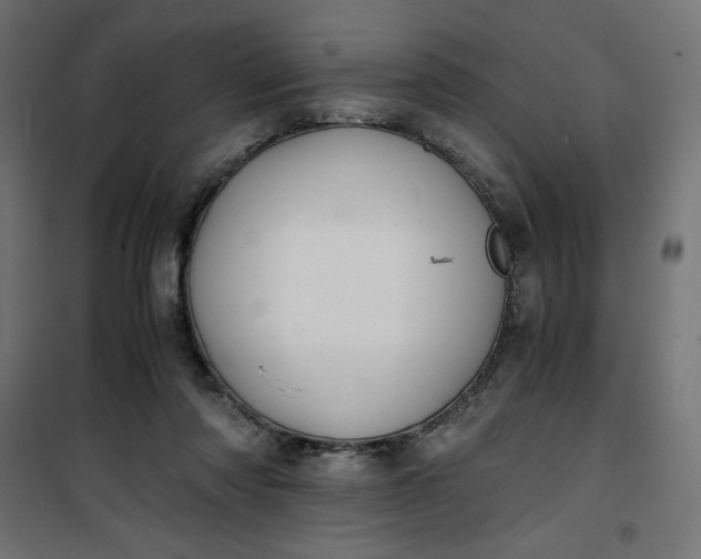 X0000100850310200807070939