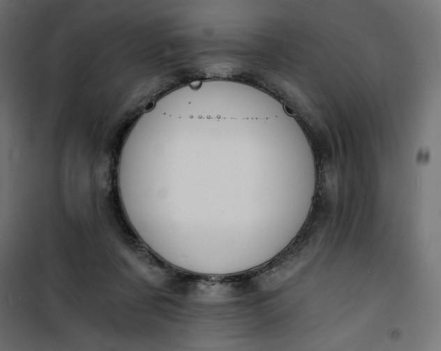 X0000100850311200807070939