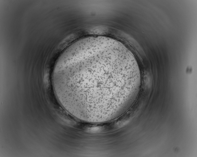 X0000100850312200807070939