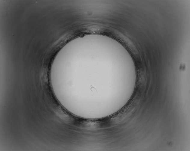 X0000100850313200807070939