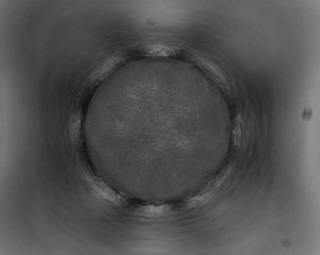 X0000100850314200807070939