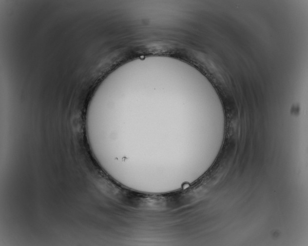 X0000100850317200807070939